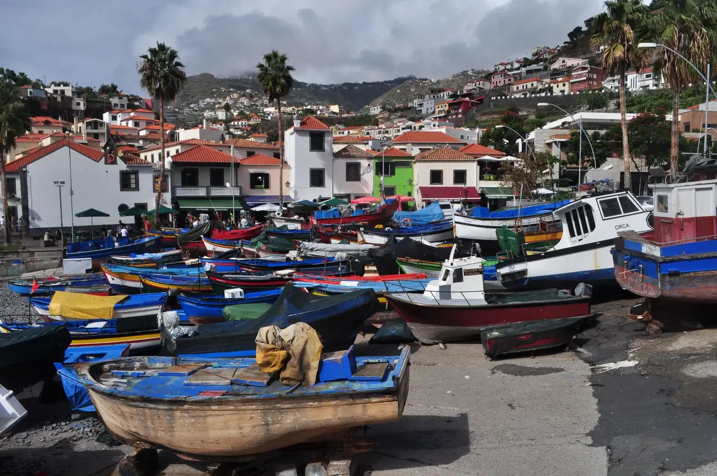 A vibrant collection of fishing boats in a picturesque coastal village harbor surrounded by mountains and houses.