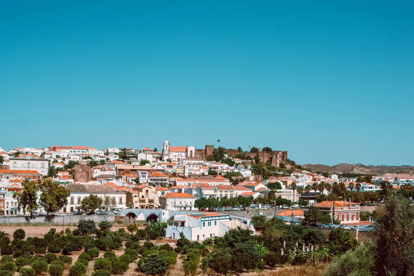 Discover the historic charm of Mértola with the Guadiana River's scenic bend.