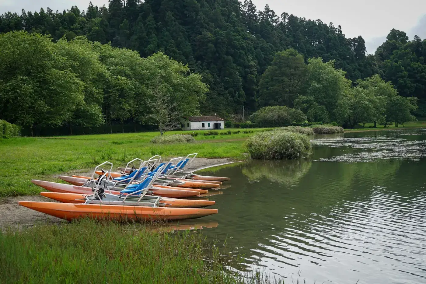 Tranquil scene of pedal boats on the grassy shore of Furnas Lake with lush green forest backdrop.