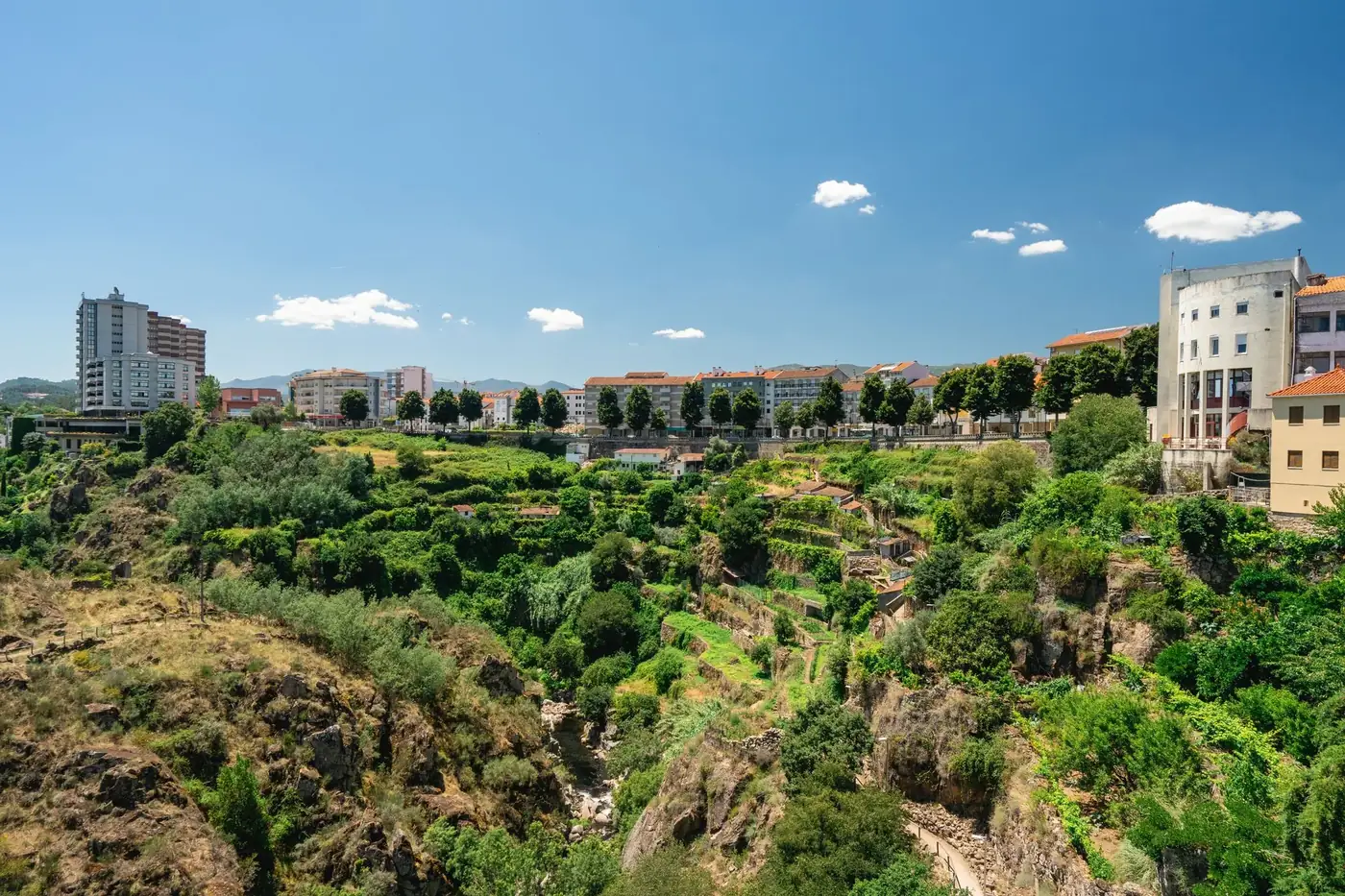 Bright summer view of Vila Real, Portugal, showcasing lush greenery against urban architecture and blue skies.