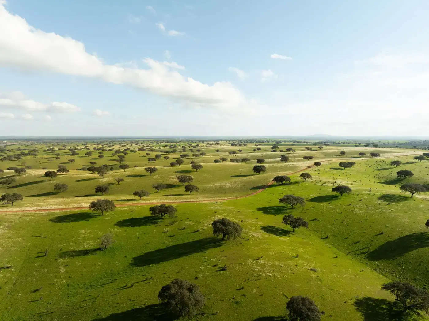 Aerial view of lush green plains with scattered trees under a blue sky in Beja, Portugal.