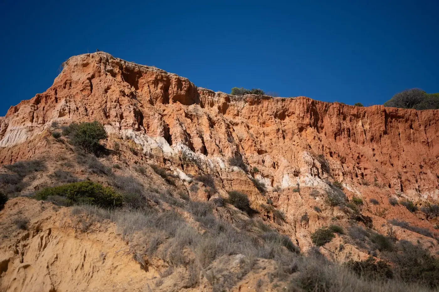 Dramatic sandstone cliffs under a clear blue sky in Albufeira, showcasing the Algarve's natural beauty.